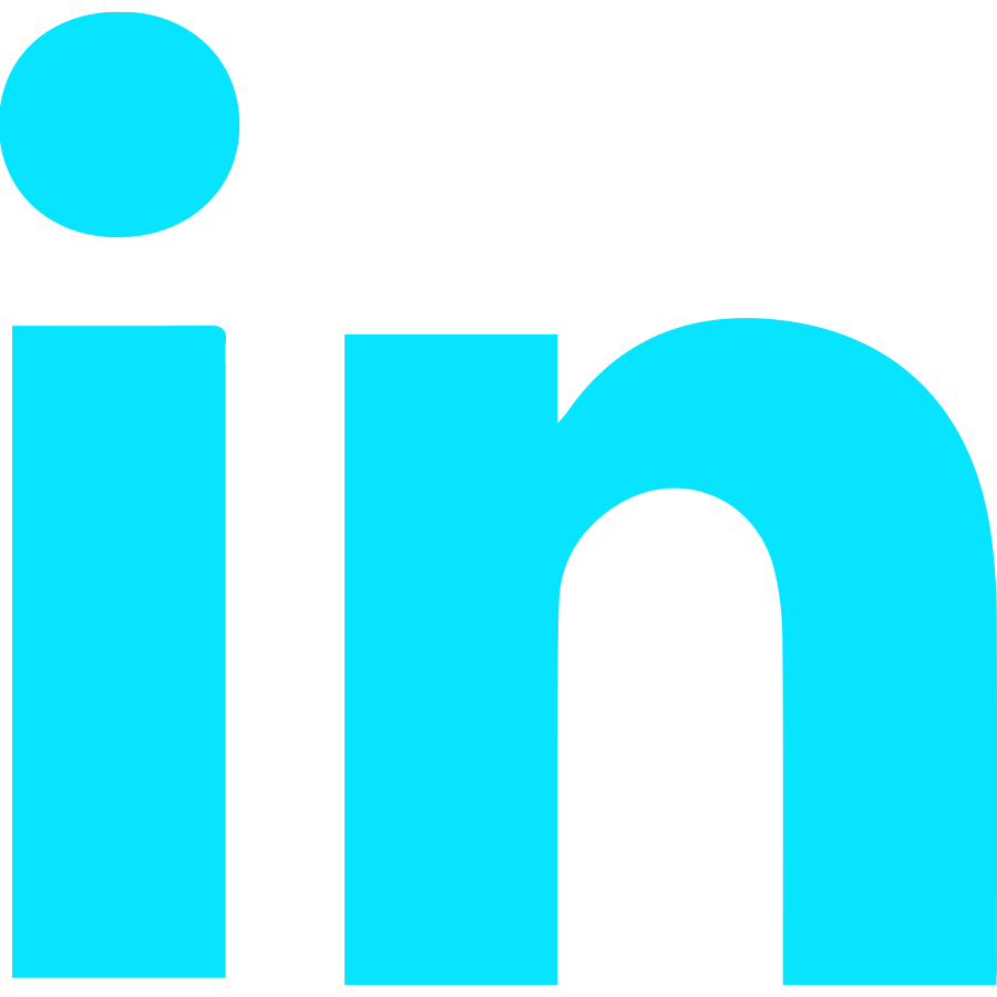 Icon linkedin